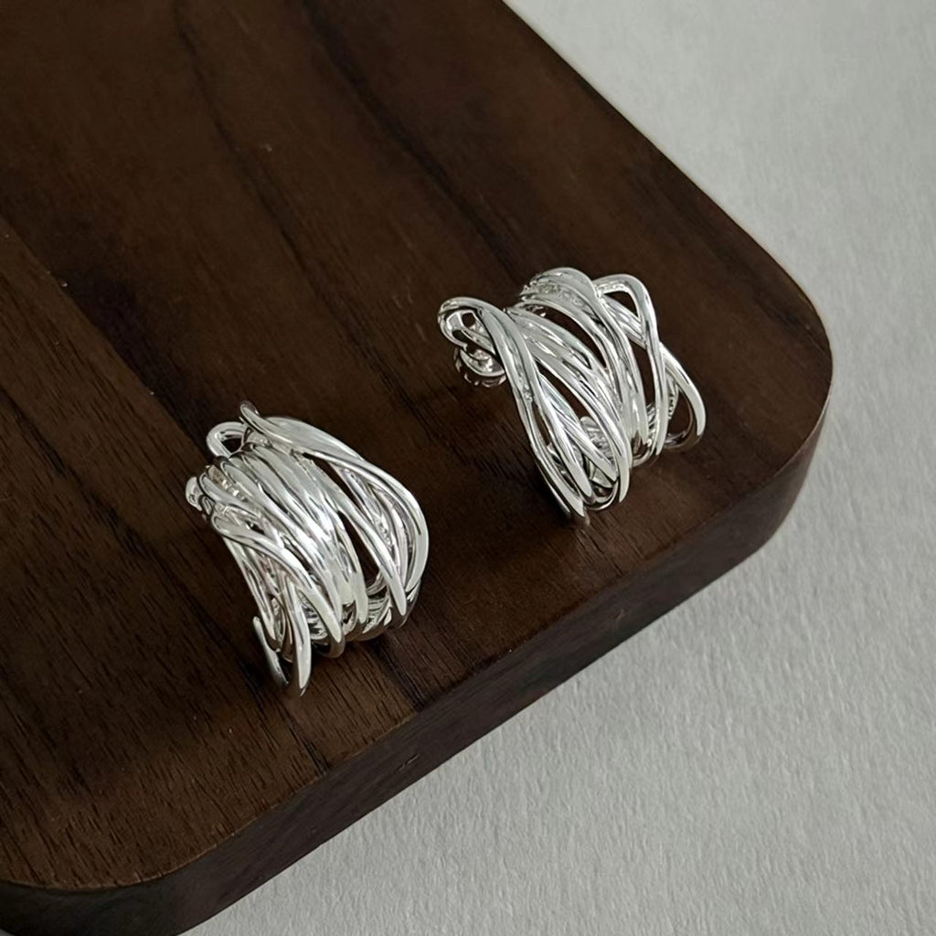 Silver Small Earrings