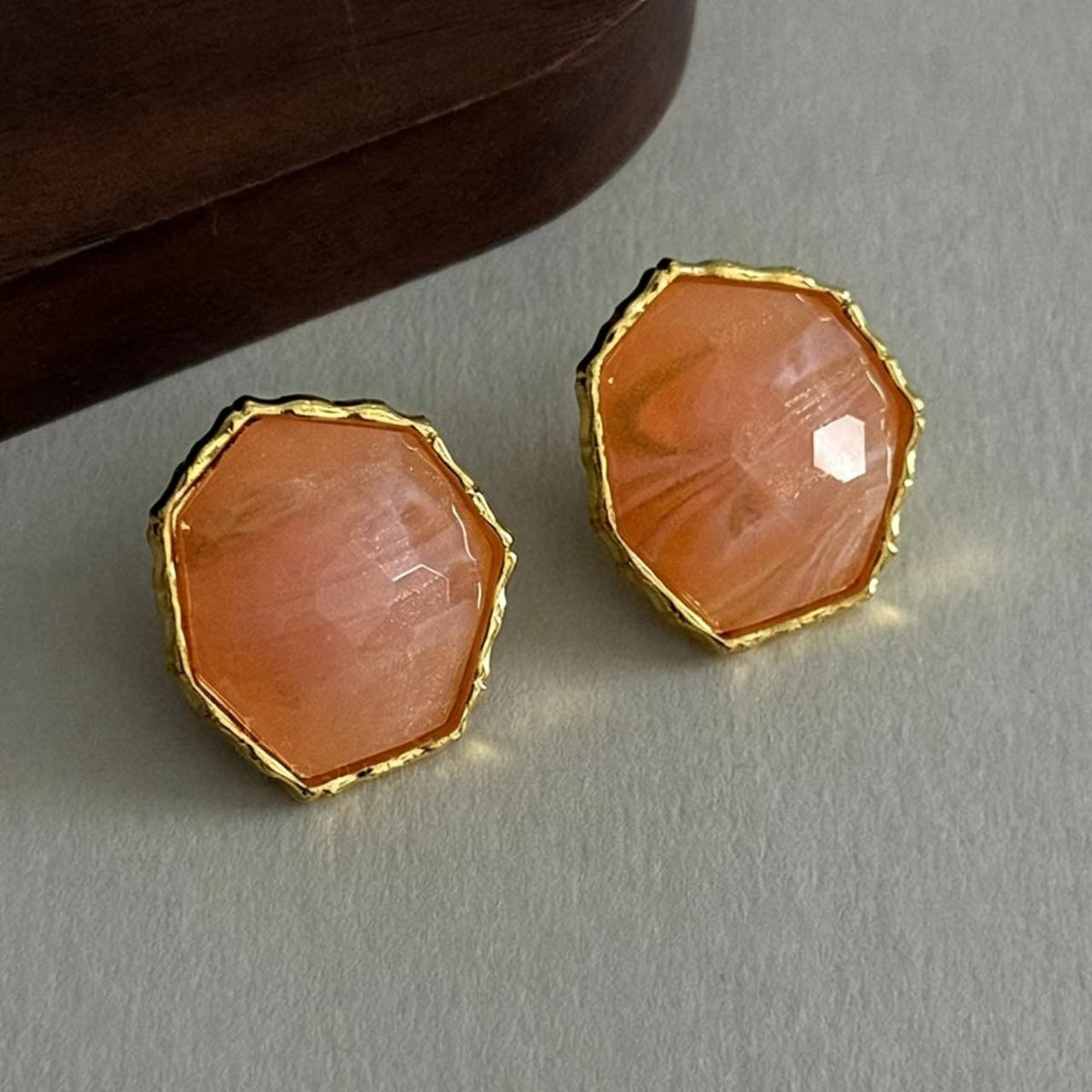 Nude Pink Resin Gold-Plated Earrings