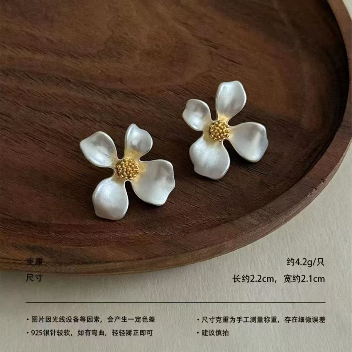 Silver Earrings