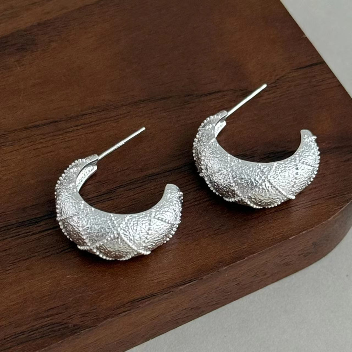 Silver Hoop Crescent Earrings