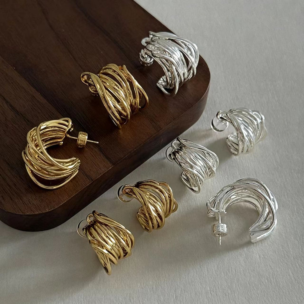 Silver Small Earrings